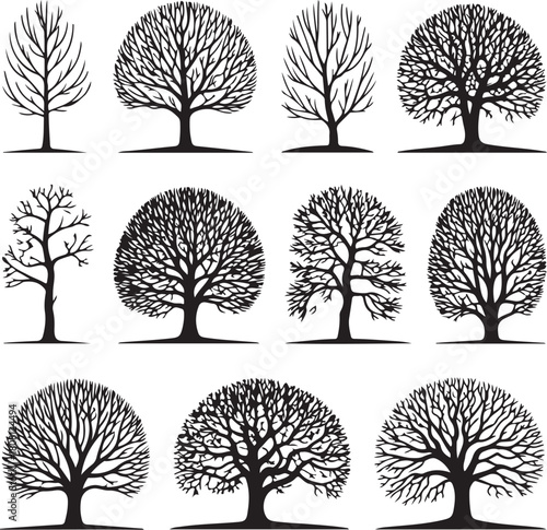 Set of 12 diverse bare tree silhouettes