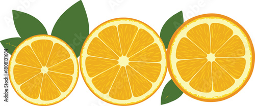 Fresh orange slices with green leaves, citrus fruit cross-section illustration, vibrant juicy texture, healthy food concept, tropical vitamin-rich summer design