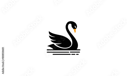 black swan vector