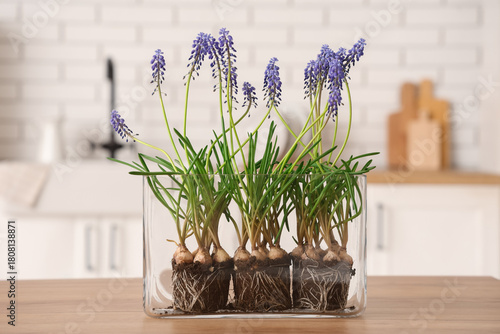Glass vase with beautiful M...