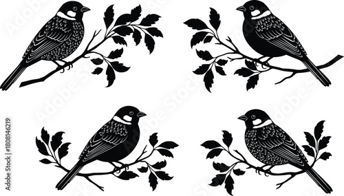 Vintage bird silhouette vector illustration of perched songbirds on leafy branches, elegant decorative nature artwork for prints, pattern design, craft projects and botanical themed graphics