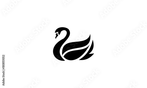 black swan vector