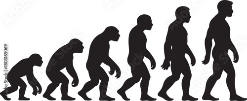 Silhouette of theory of evolution of man
