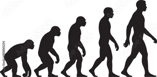 Silhouette of theory of evolution of man