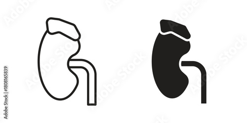 Adrenal gland icon symbols. app and web UI solid and line icon, EPS10
