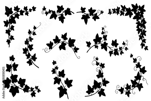 Elegant ivy leaf silhouettes for botanical designs add a touch of timeless beauty to your creative projects