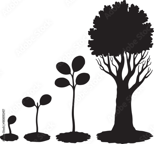 Plant growth cycle illustration: seedling, sprout, sapling, tree.