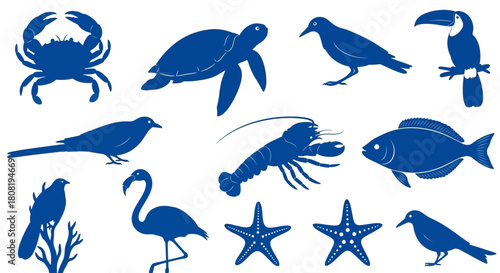 Monochrome Vector Illustration Featuring an Assortment of Marine and Avian Silhouettes