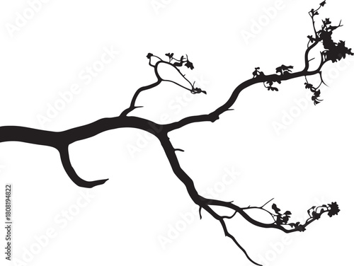 Organic tree branch silhouette, nature vector graphic element