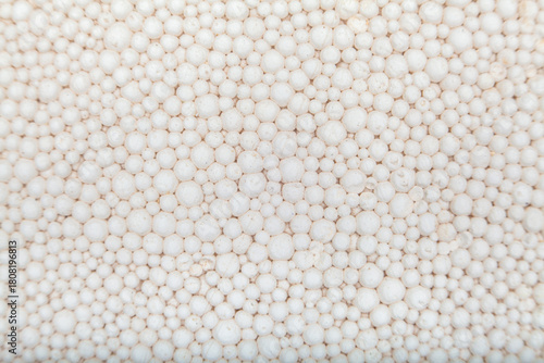 Abstract Texture of Expanded Polystyrene Granules