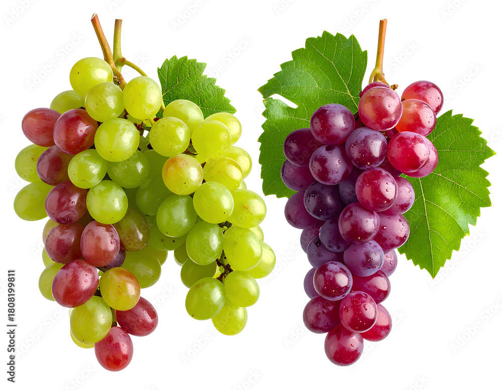 Fototapeta premium Fresh mixed cluster of ripe red and green grapes with natural shine, isolated on transparent background, PNG