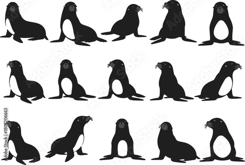 Silhouette vector illustration of sea lions sitting and posing, marine animal collection showing wildlife behavior, aquatic nature design for ocean life and zoo concepts