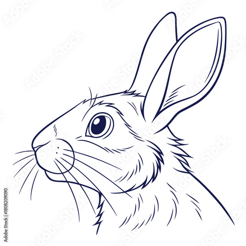 Detailed illustration of a rabbit head isolated on