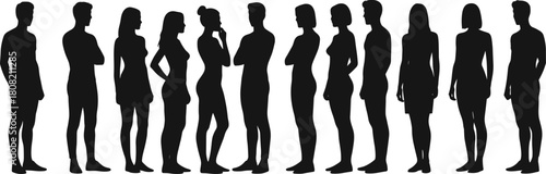 Group of Standing Adult People Silhouettes, Male and Female Figures in Line, Representing Diversity, Demographic Data, Crowd, Community, and Human Body Vector