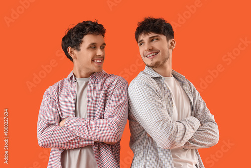 Young brothers smiling on o...