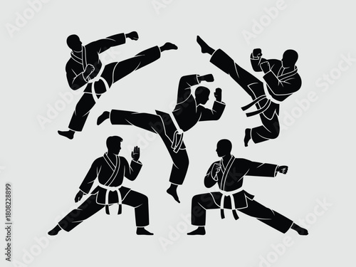 Martial artists performing dynamic kicks and punches martial arts karate