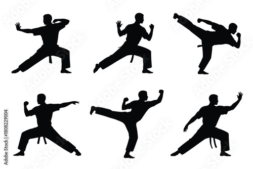 Martial artists performing various combat stances and kicks martial arts silhouettes