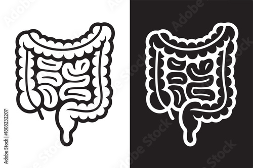 Human colon vector illustration digestive system anatomy in black and white isolated on white background for medical designs