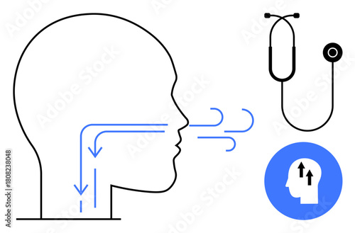 Breathing process. Breathing mechanics with arrows and human silhouette. Breathing process linked to stethoscope healthcare. For medicine, wellness, treatment, education, diagnosis