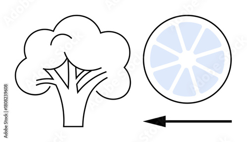 Nutrition concept. Broccoli and citrus fruit outline with arrow highlighting nutrition and health focus. Perfect for food, diet, healthy living, organic produce, wellness
