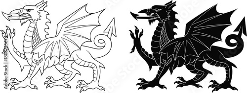 Heraldic dragon vector set, black silhouette and outline illustration, welsh symbol for coat of arms, fantasy animal icon, medieval creature design, isolated tattoo art