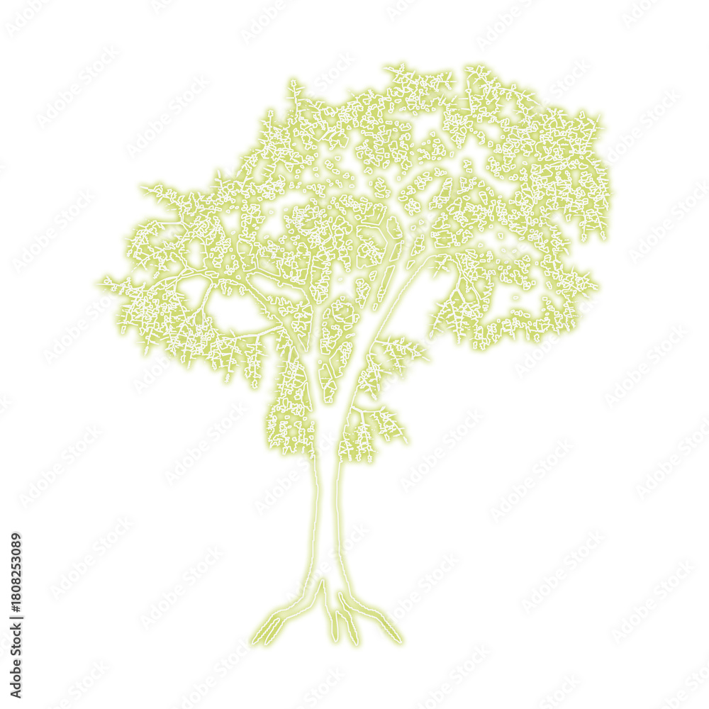 Fototapeta premium Illuminated tree silhouette against a dark background