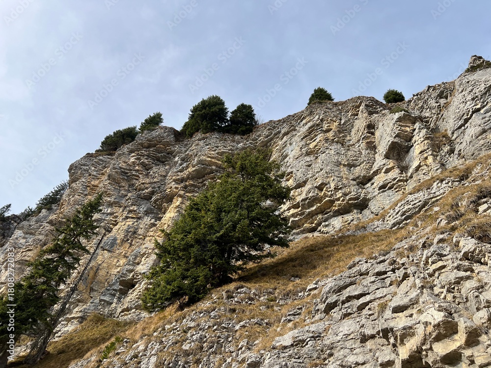 Fototapeta premium Steep alpine rocks on the Sigriswilergrat mountain or rocky cliffs on the Sigriswilergrat ridge in the Emmental Alps and the Bernese Oberland, Switzerland (Berner Oberland, Schweiz)