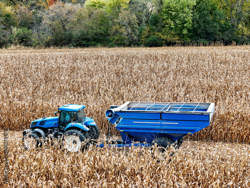 Blue farm tractor pulling a blue grain cart through a corn field