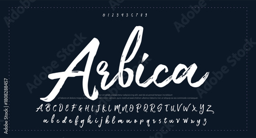 signature Font Calligraphy Logotype Script Brush Font Type Font lettering handwritten 