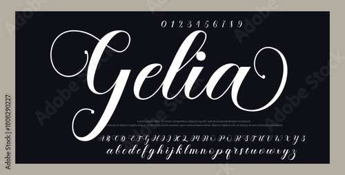 signature logo vector design 