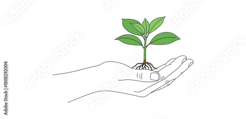 Nurturing Growth: A hand cradles a delicate seedling, symbolizing new beginnings, care, and the promise of growth.