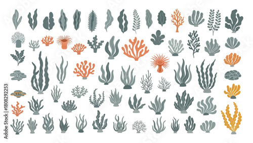 Underwater World A Collection of Hand-Drawn Sea Plants and Corals for Creative Design