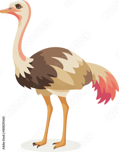 vector illustration of cartoon ostrich