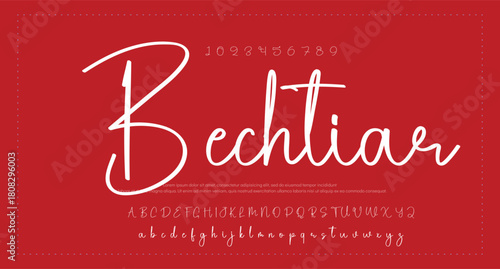 Signature script lettering font 
