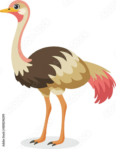 vector illustration of cartoon bird