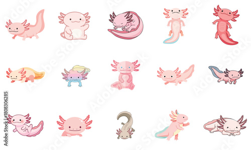 Cute Axolotl Sticker Set Collection Cartoon Vector Illustration Pink Mexican Salamander Animal