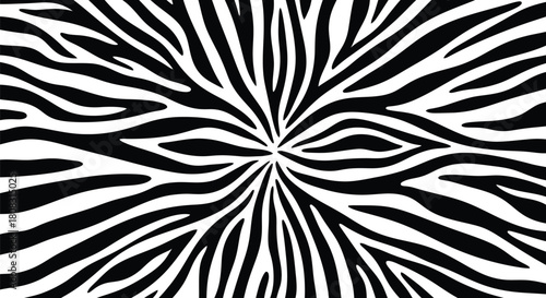 Zebra print background black and white animal skin pattern design art
