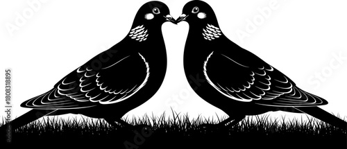 Romantic pigeon couple silhouette standing on grass, love birds illustration, detailed vector design for nature themes, wildlife artwork, relationship and affection concepts
