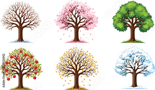 Detailed autumn tree with colorful orange foliage and black silhouette set, vector illustration, white background