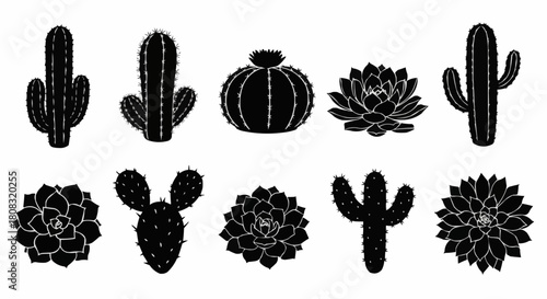 Silhouette Collection of Various Cactus and Succulent Plants.