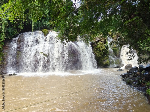 Hidden Waterfall in Green Forest