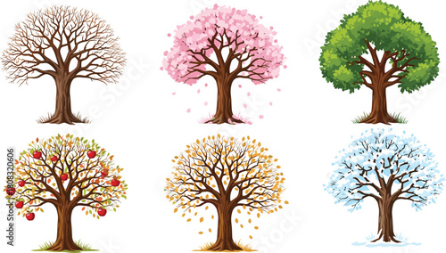 Set of six seasonal trees spring summer autumn winter apple harvest vector illustration white background