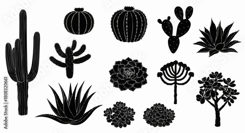 Silhouetted cacti and succulent plants collection in black and white.