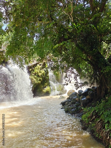 Hidden Waterfall in Green Forest
