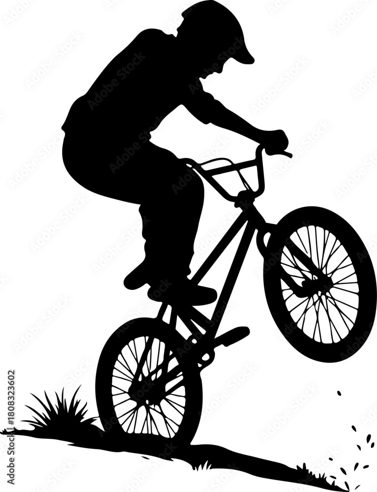 Fototapeta premium silhouette of a man Bmx Rider