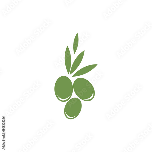 olive icon vector illustration logo