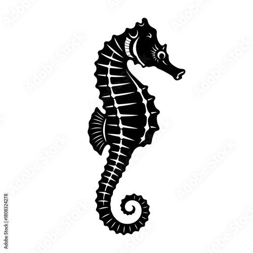 Elegant Black Seahorse Silhouette Isolated on White Background.
