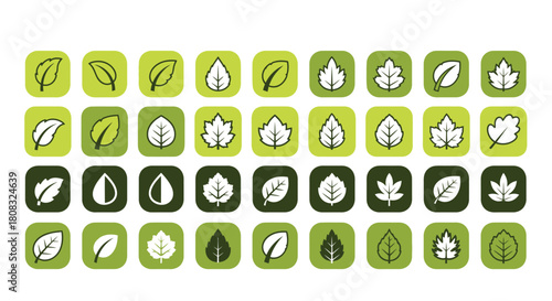 Leaf vector icon set green nature design elements for graphic use