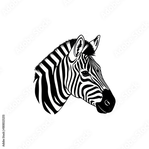Zebra Head Portrait - Striking Black and White Illustration.