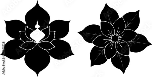 Vector illustration of two top-view jasmine silhouettes